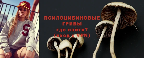 СК Белокуриха