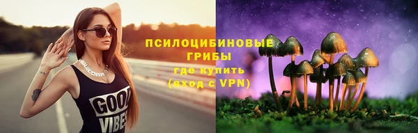 гашик Белоозёрский