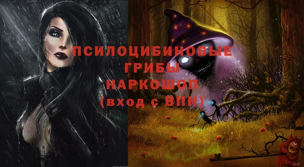 СК Белокуриха