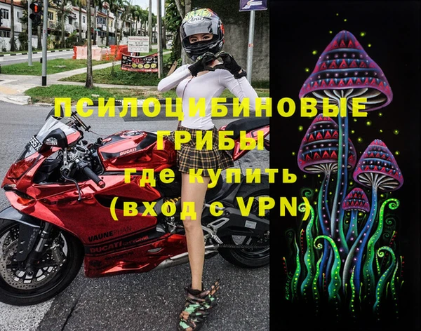 тгк Богданович