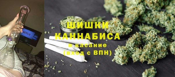 тгк Богданович