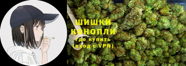тгк Богданович