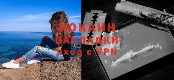 тгк Богданович
