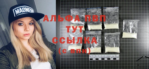 СК Белокуриха