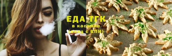 тгк Богданович