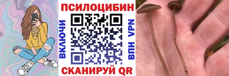 Псилоцибиновые грибы ЛСД  Реж 