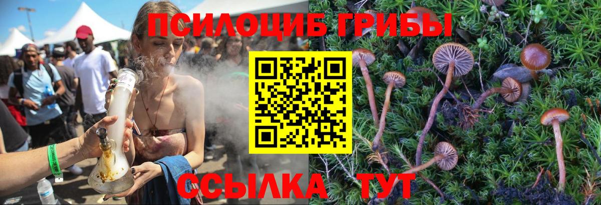 Псилоцибиновые грибы мухоморы Реж