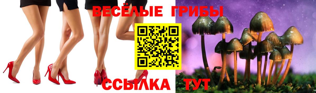 Реж  Галлюциногенные грибы Psilocybe  Вход с VPN 